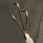 Raised Bed Cultivator