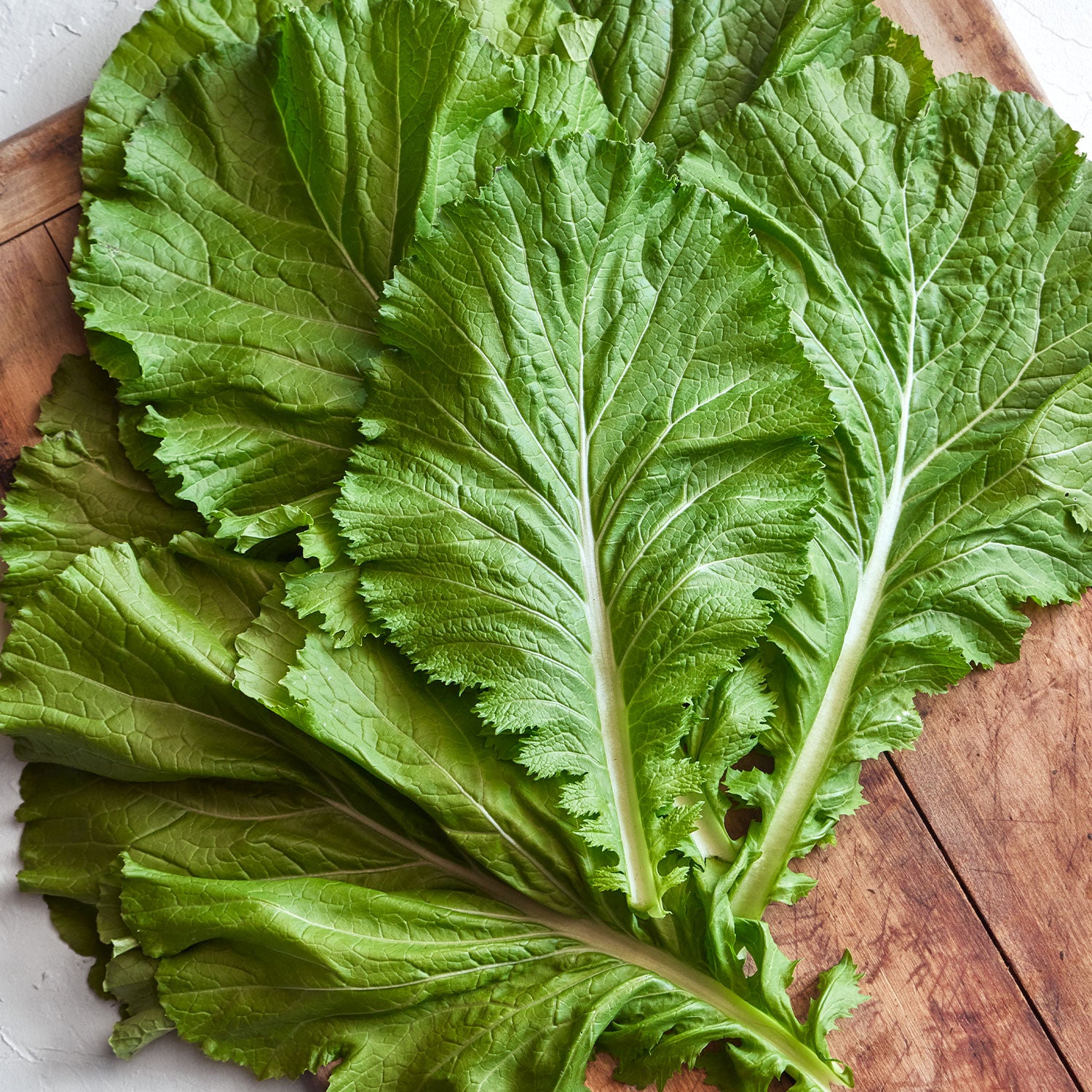 Florida Broad Leaf Mustard