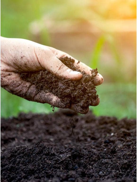 Understanding Soil Ph