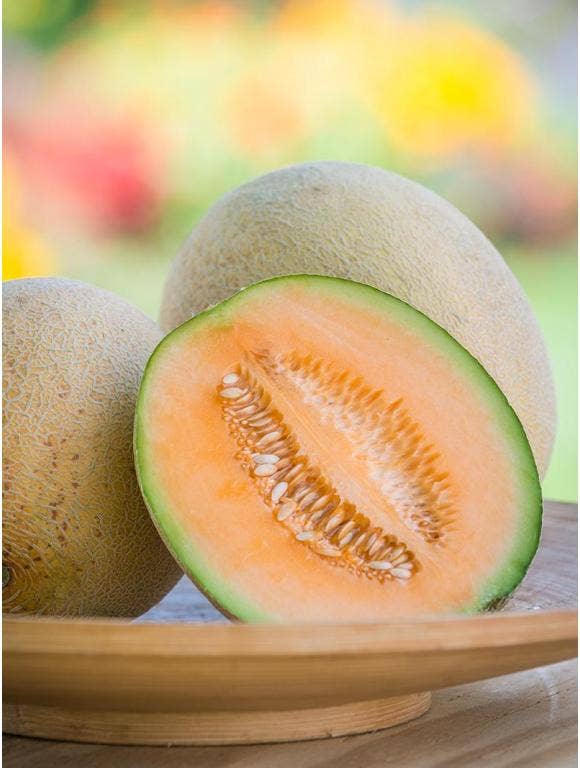 All About Cantaloupe