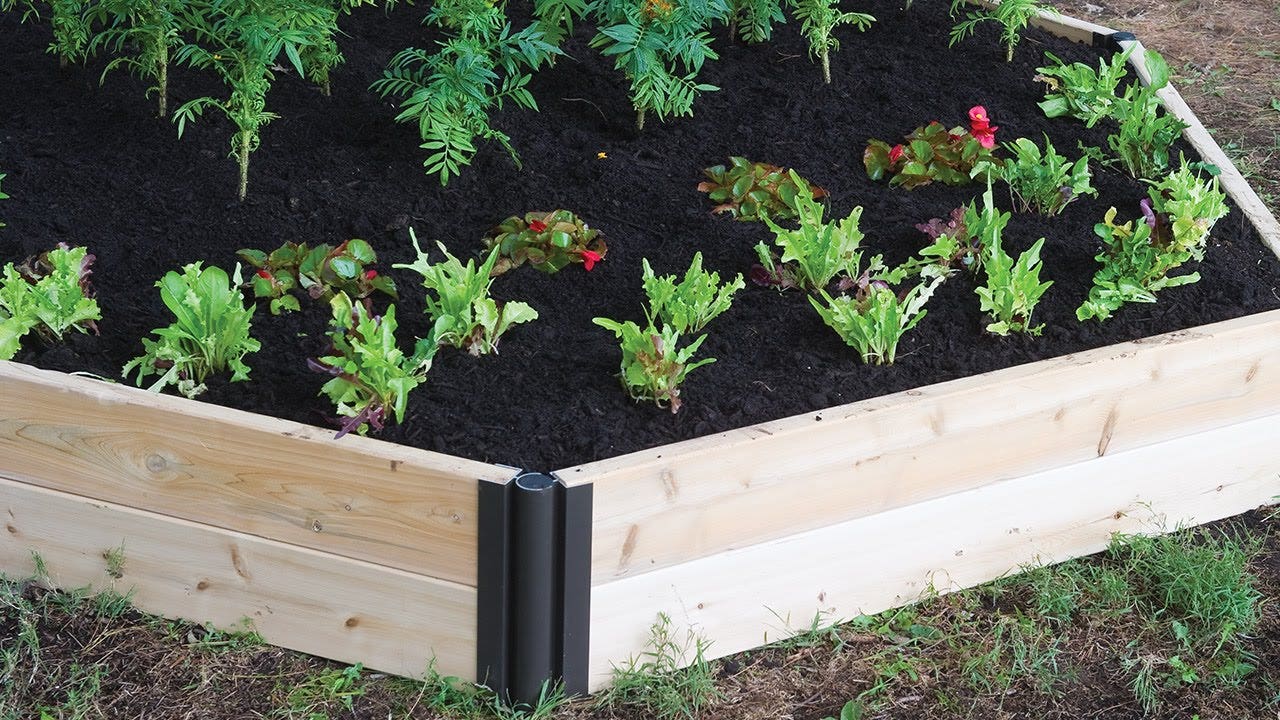 Plants arranged in layers in gardening bed