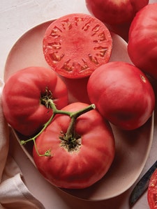 Tomato, Brandywine Pink