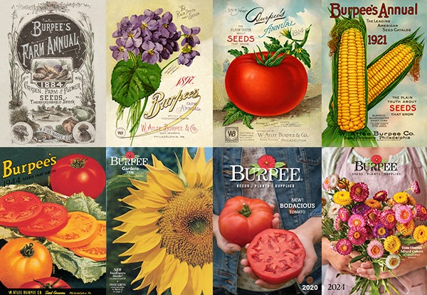 Collage of Burpee Gardening images